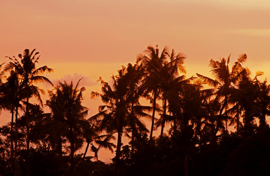 Zebras & Libras Travels to Bali